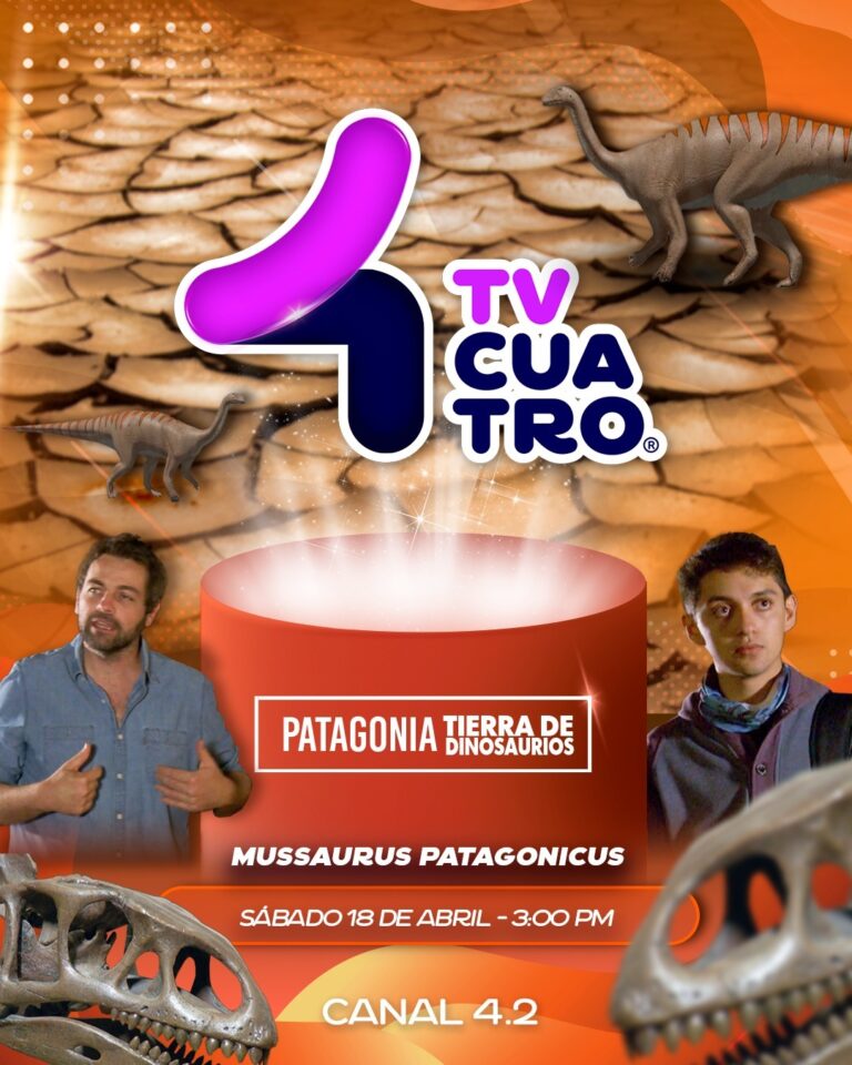 PATAGONIA, TIERRA DE DINOSAURIOS: Mussaurus patagonicus | Sábado 18 de abril, canal 4.2