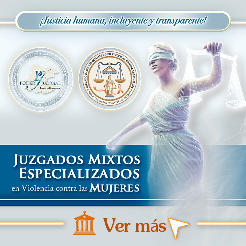 Descargar infografía