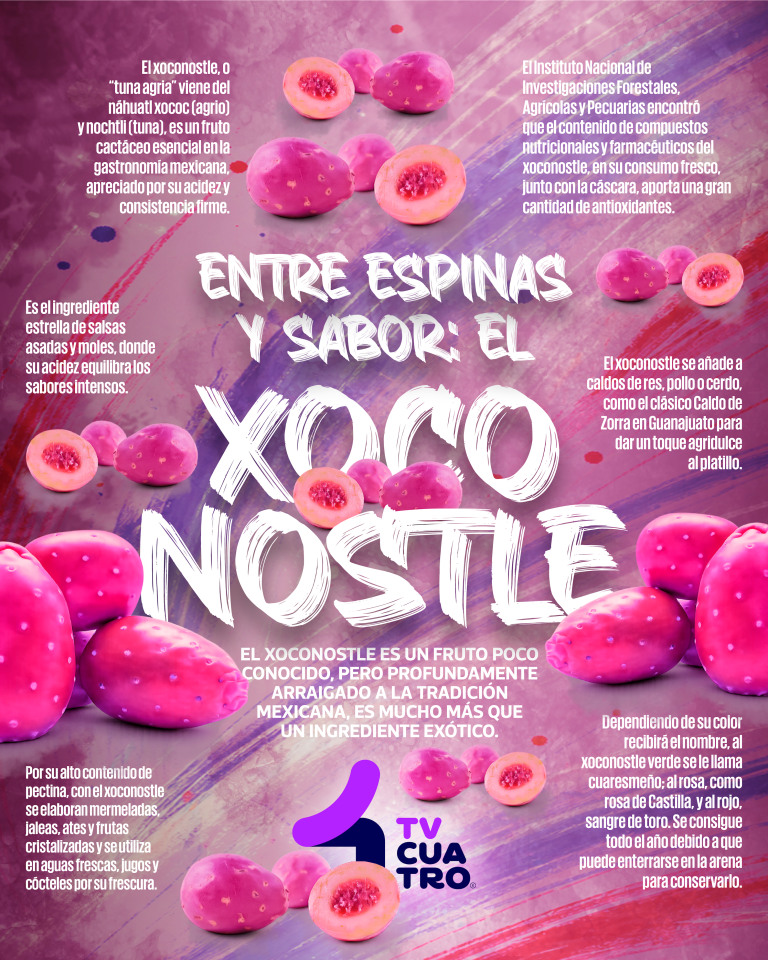 XOCONOSTLE