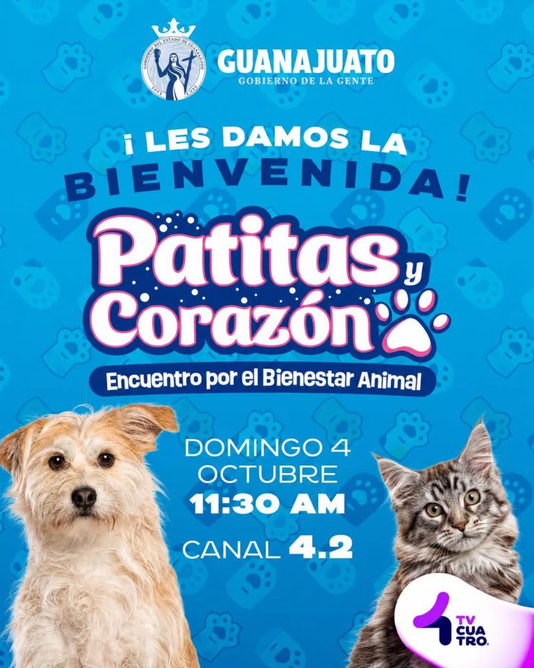 PATITAS Y CORAZÓN: ENCUENTRO POR EL BIENESTAR ANIMAL | Domingo 4 de octubre, canal 4.2